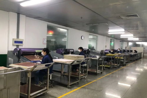 驻厂员助抗疫保生产 仪征经济开发区的经济信息咨询创新实践