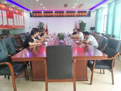 合肥市经济和信息化局领导莅临中心检查指导